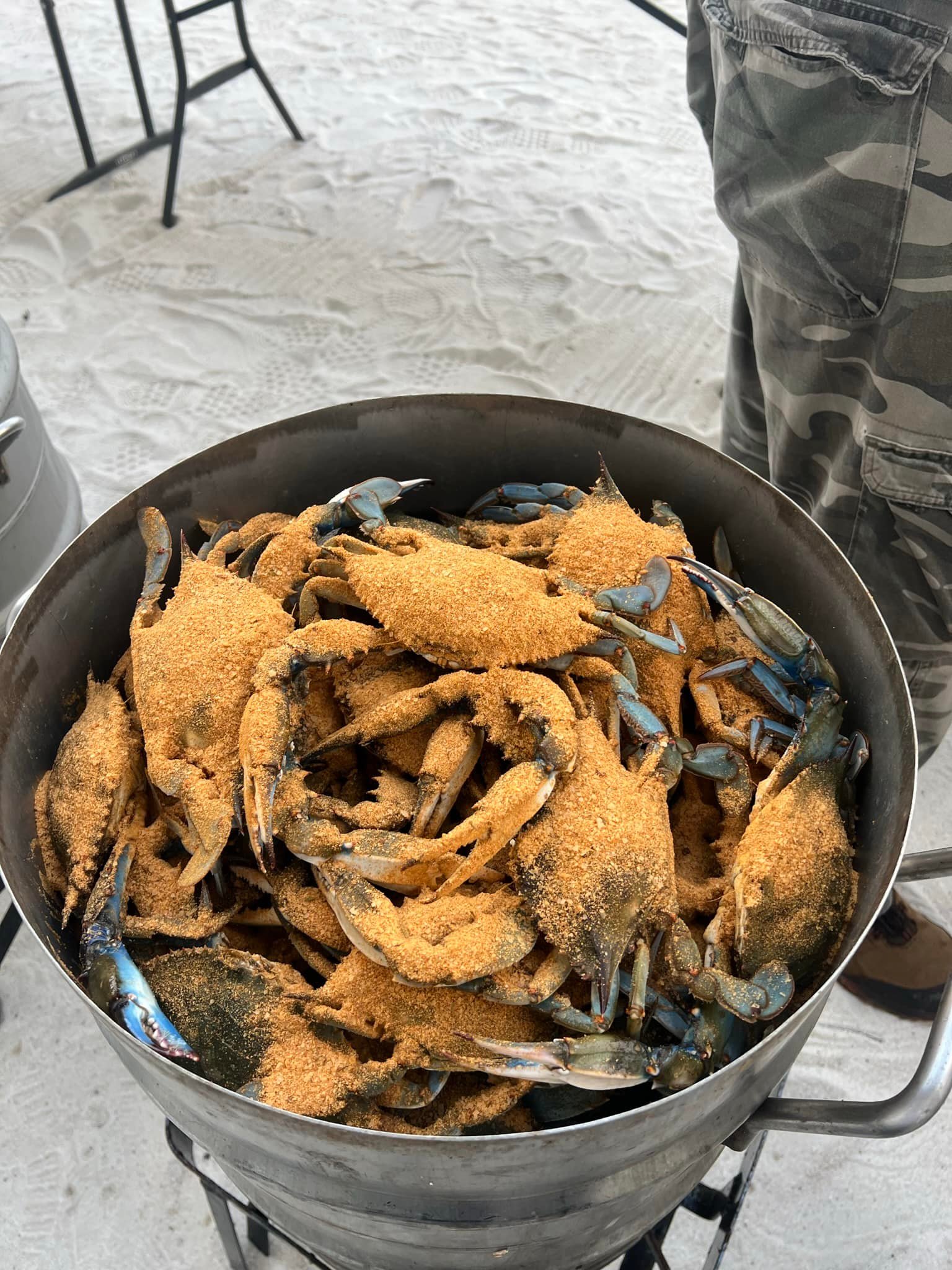 Maryland Crabs